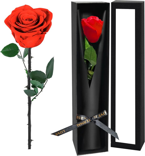 Single forever roses a - roses, in